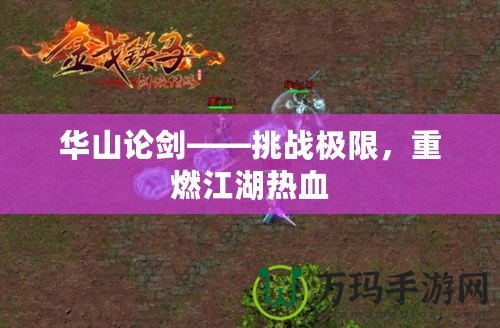華山論劍——挑戰(zhàn)極限，重燃江湖熱血