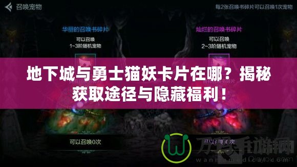 地下城與勇士貓妖卡片在哪？揭秘獲取途徑與隱藏福利！
