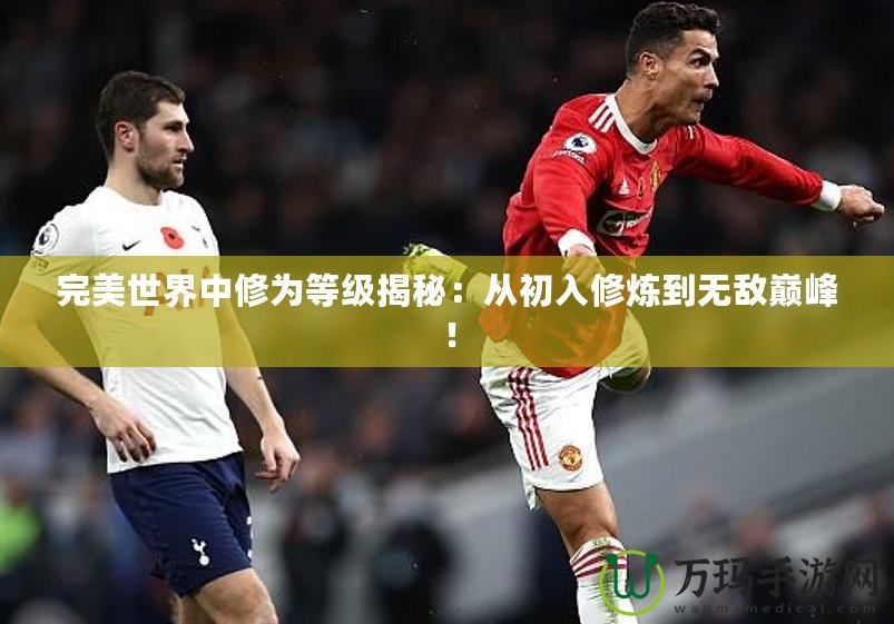 完美世界中修為等級(jí)揭秘：從初入修煉到無敵巔峰！