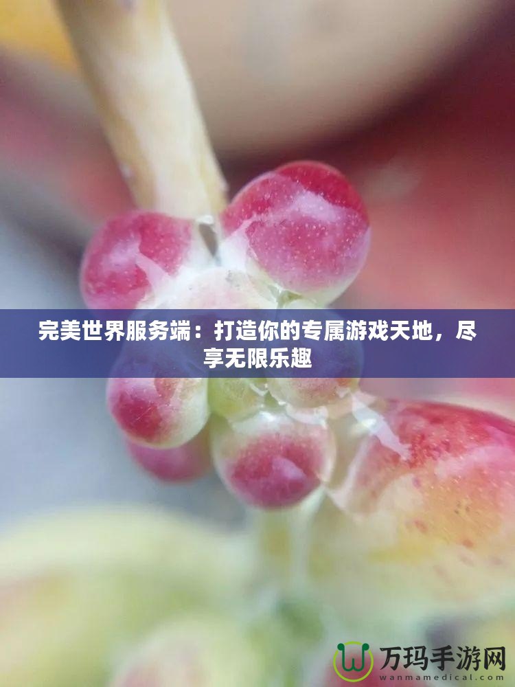 完美世界服務(wù)端：打造你的專屬游戲天地，盡享無限樂趣