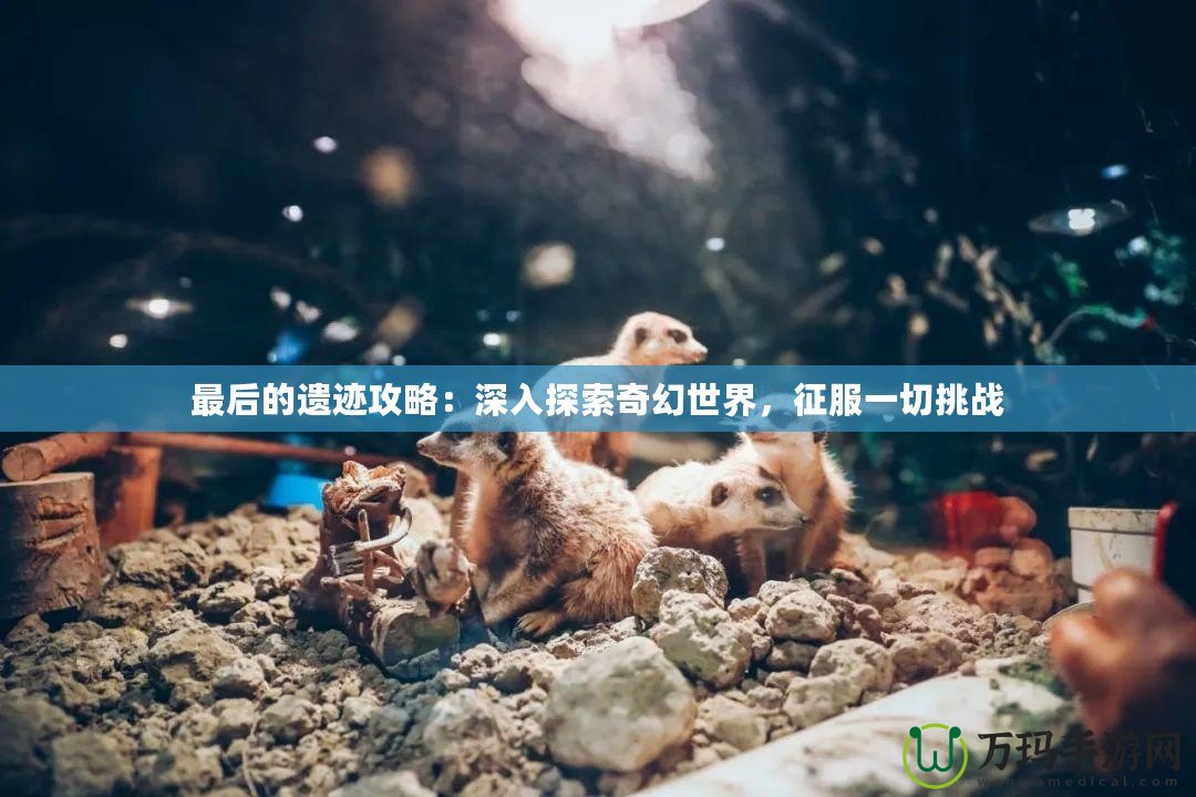 最后的遺跡攻略：深入探索奇幻世界，征服一切挑戰(zhàn)