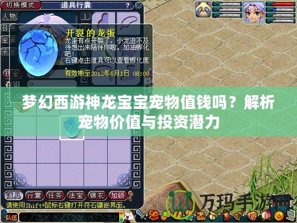 夢(mèng)幻西游神龍寶寶寵物值錢(qián)嗎？解析寵物價(jià)值與投資潛力