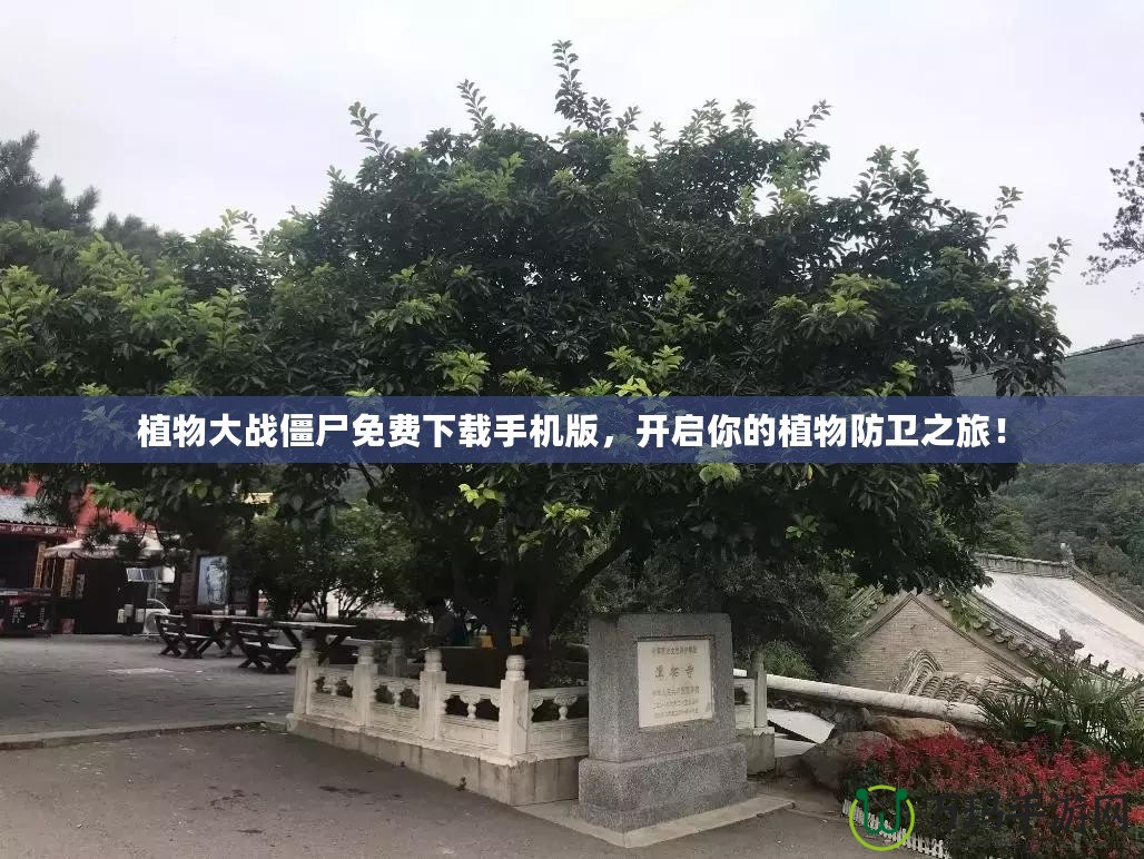 植物大戰(zhàn)僵尸免費(fèi)下載手機(jī)版，開啟你的植物防衛(wèi)之旅！