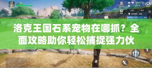 洛克王國石系寵物在哪抓？全面攻略助你輕松捕捉強力伙伴