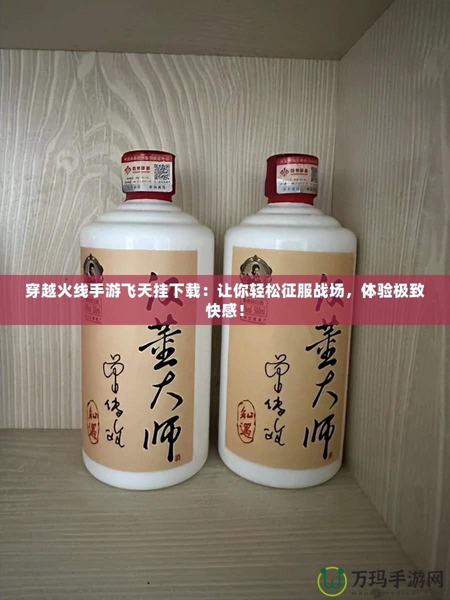 穿越火線手游飛天掛下載：讓你輕松征服戰(zhàn)場，體驗極致快感！