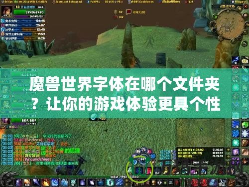 魔獸世界字體在哪個(gè)文件夾？讓你的游戲體驗(yàn)更具個(gè)性化