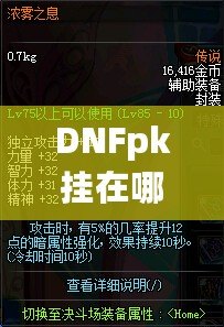 DNFpk掛在哪下載？教你如何安全、快速地獲取最強(qiáng)PK輔助！