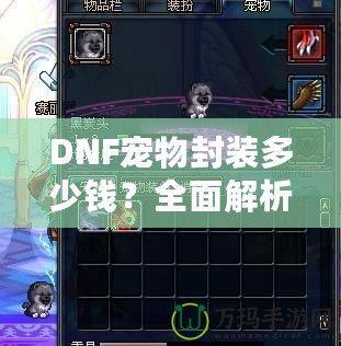 DNF寵物封裝多少錢？全面解析封裝寵物的價值與技巧