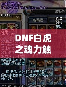 DNF白虎之魂力觸發(fā)幾率解析：讓你的戰(zhàn)斗更加震撼！