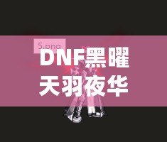 DNF黑曜天羽夜華套特效全揭秘：價(jià)格與價(jià)值解析