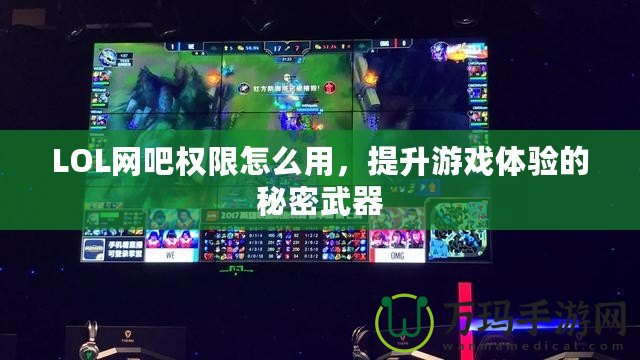 LOL網(wǎng)吧權(quán)限怎么用，提升游戲體驗的秘密武器