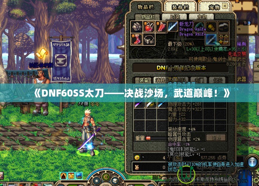 《DNF60SS太刀——決戰(zhàn)沙場，武道巔峰！》