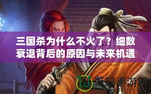 三國殺為什么不火了？細數(shù)衰退背后的原因與未來機遇