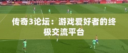 傳奇3論壇：游戲愛好者的終極交流平臺(tái)
