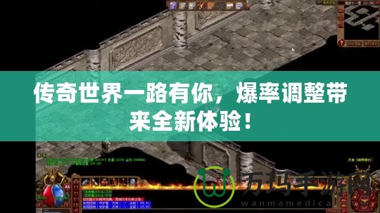 傳奇世界一路有你，爆率調(diào)整帶來全新體驗！