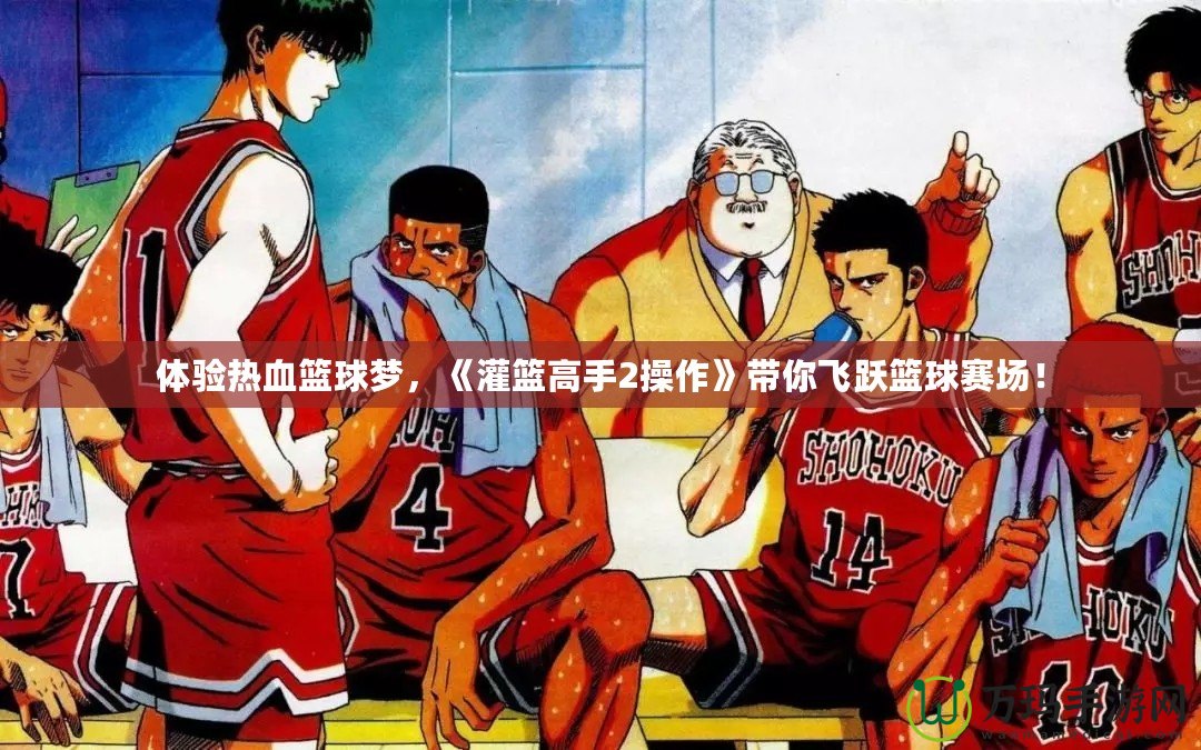 體驗(yàn)熱血籃球夢，《灌籃高手2操作》帶你飛躍籃球賽場！