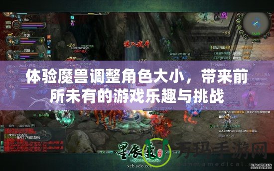 體驗?zāi)ЙF調(diào)整角色大小，帶來前所未有的游戲樂趣與挑戰(zhàn)