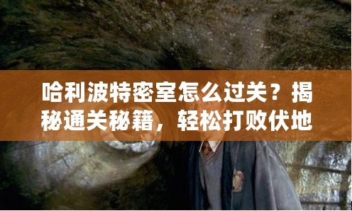 哈利波特密室怎么過關(guān)？揭秘通關(guān)秘籍，輕松打敗伏地魔的挑戰(zhàn)！