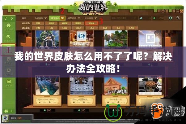 我的世界皮膚怎么用不了了呢？解決辦法全攻略！
