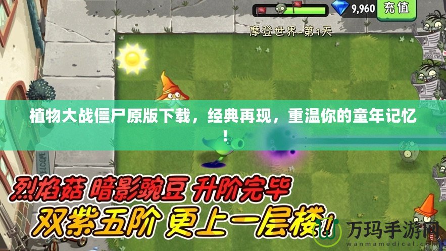 植物大戰(zhàn)僵尸原版下載，經(jīng)典再現(xiàn)，重溫你的童年記憶！