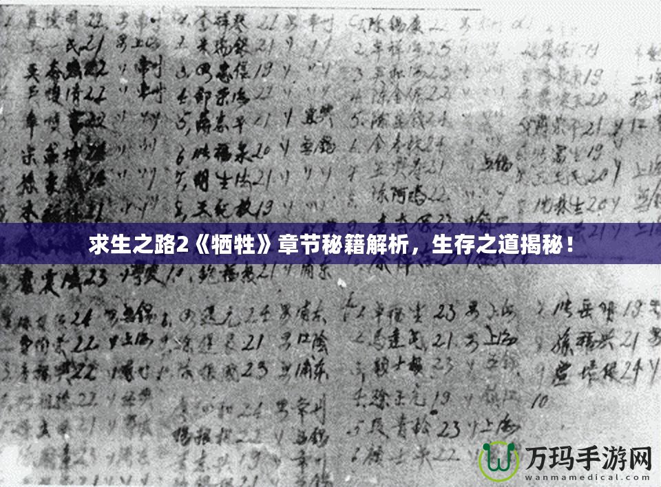 求生之路2《犧牲》章節(jié)秘籍解析，生存之道揭秘！