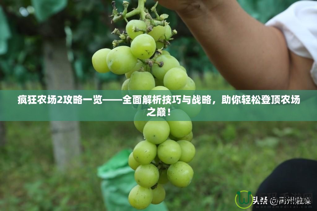 瘋狂農(nóng)場2攻略一覽——全面解析技巧與戰(zhàn)略，助你輕松登頂農(nóng)場之巔！