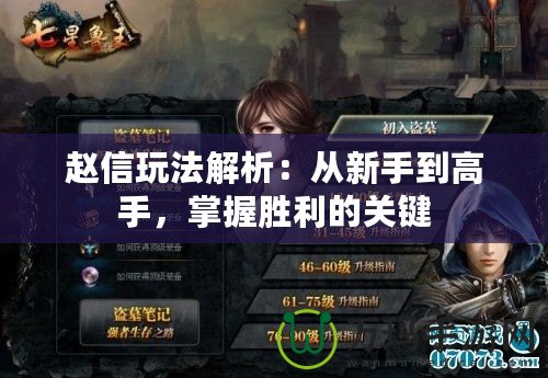 趙信玩法解析：從新手到高手，掌握勝利的關(guān)鍵