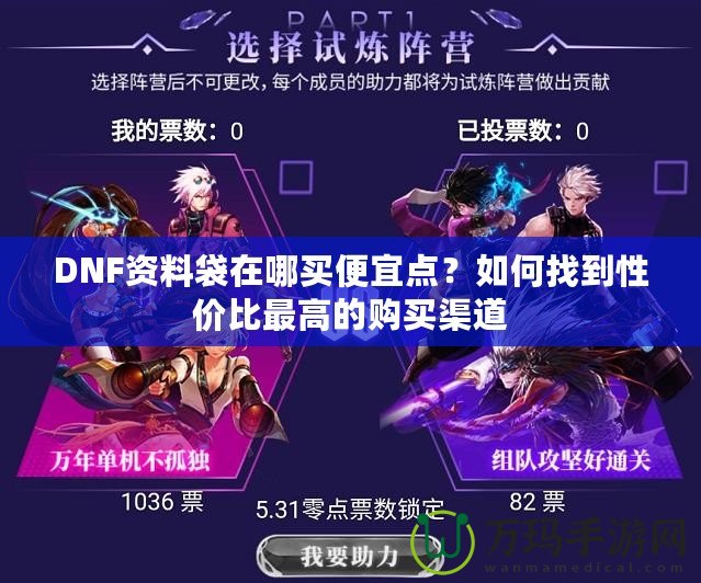 DNF資料袋在哪買便宜點？如何找到性價比最高的購買渠道
