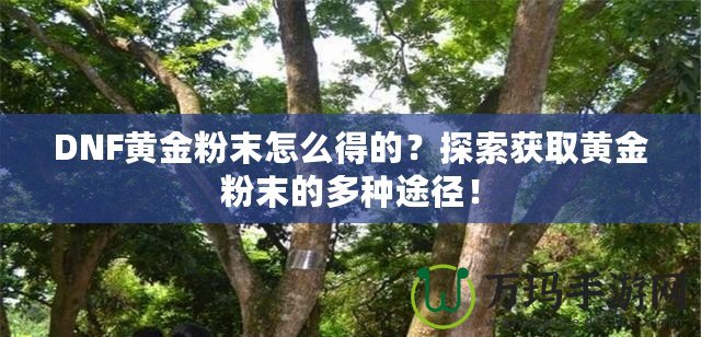 DNF黃金粉末怎么得的？探索獲取黃金粉末的多種途徑！
