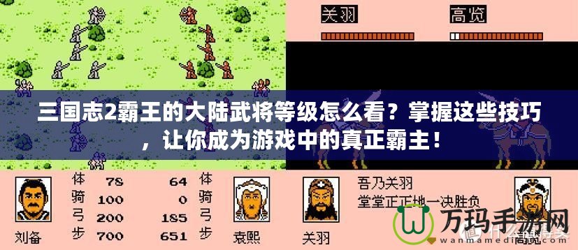 三國志2霸王的大陸武將等級(jí)怎么看？掌握這些技巧，讓你成為游戲中的真正霸主！
