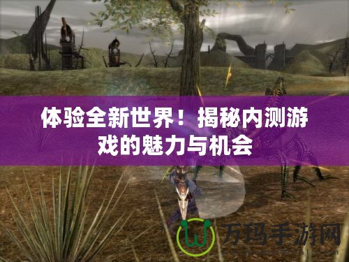 體驗全新世界！揭秘內(nèi)測游戲的魅力與機會
