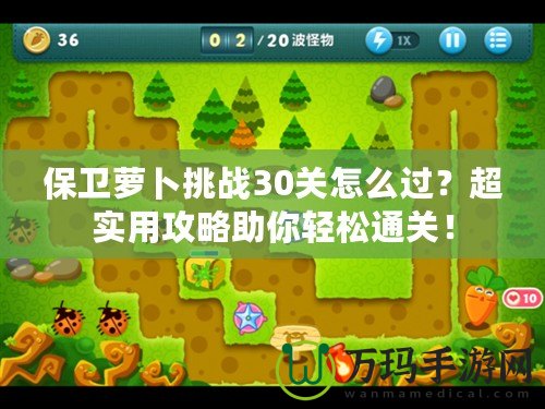 保衛(wèi)蘿卜挑戰(zhàn)30關(guān)怎么過(guò)？超實(shí)用攻略助你輕松通關(guān)！