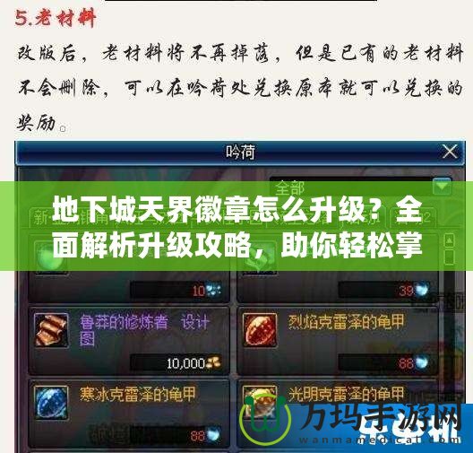 地下城天界徽章怎么升級？全面解析升級攻略，助你輕松掌控強大力量！