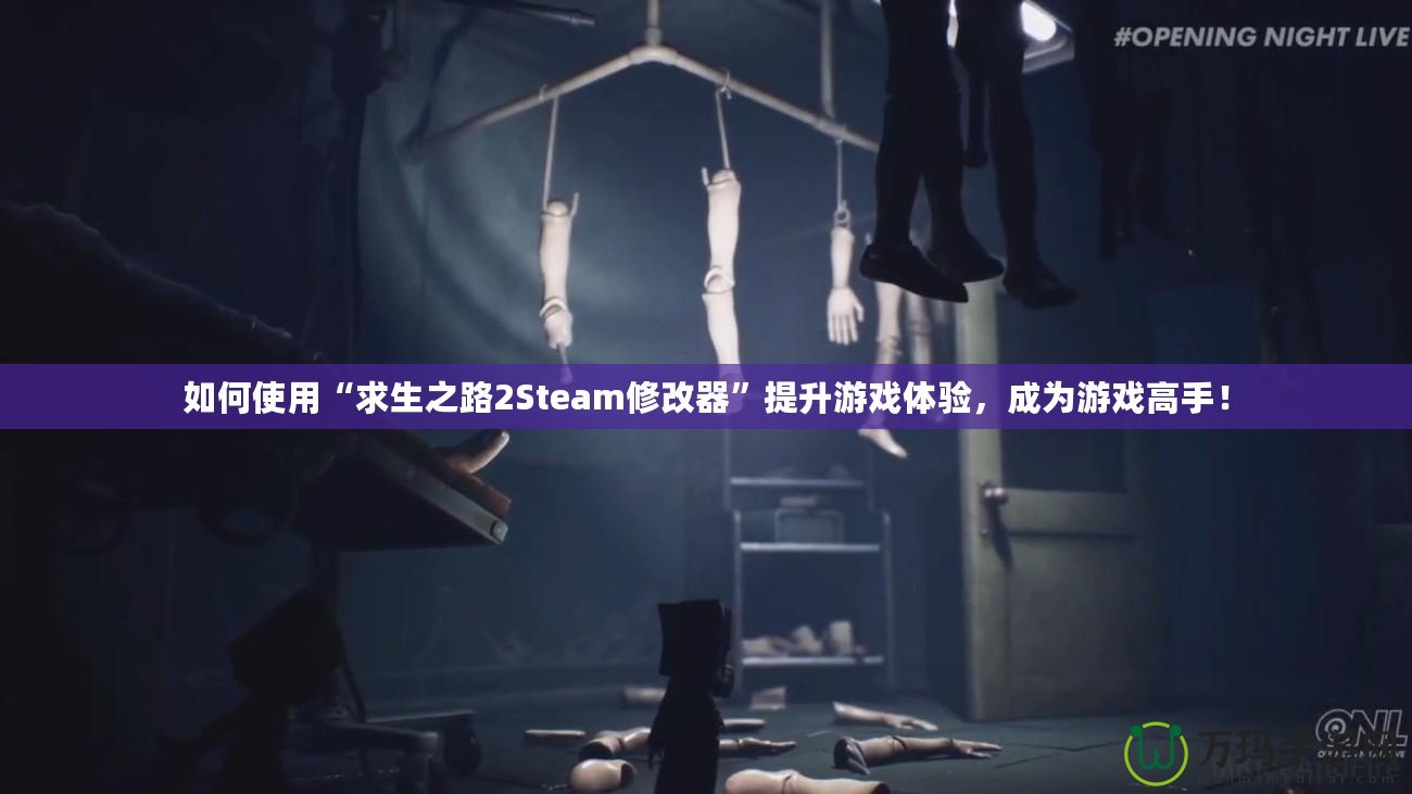 如何使用“求生之路2Steam修改器”提升游戲體驗，成為游戲高手！