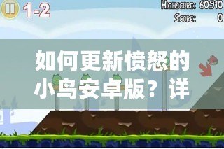 如何更新憤怒的小鳥(niǎo)安卓版？詳細(xì)步驟及更新亮點(diǎn)解析