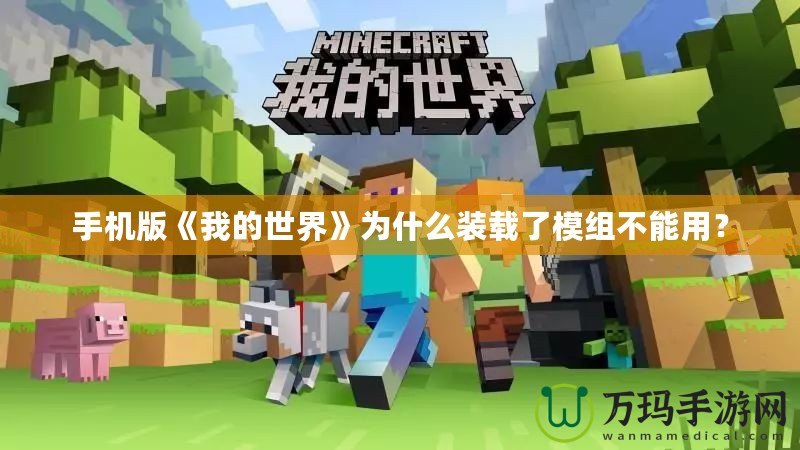 手機版《我的世界》為什么裝載了模組不能用？