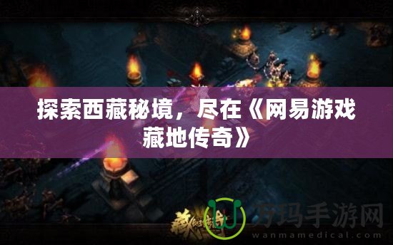 探索西藏秘境，盡在《網易游戲藏地傳奇》