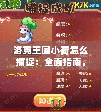 洛克王國小荷怎么捕捉：全面指南，助你輕松擁有小荷寵物！
