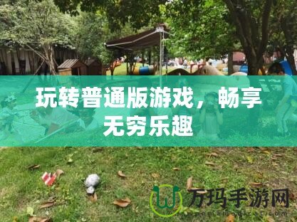 玩轉(zhuǎn)普通版游戲，暢享無窮樂趣