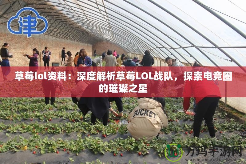 草莓lol資料:深度解析草莓LOL戰(zhàn)隊,探索電競?cè)Φ蔫仓? title=