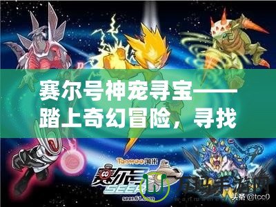 賽爾號神寵尋寶——踏上奇幻冒險，尋找神秘寶藏！