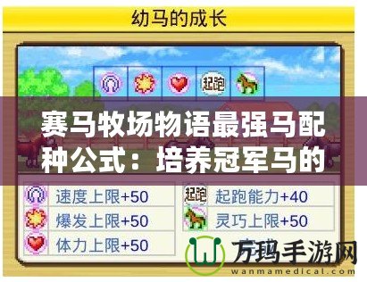 賽馬牧場(chǎng)物語(yǔ)最強(qiáng)馬配種公式：培養(yǎng)冠軍馬的秘密
