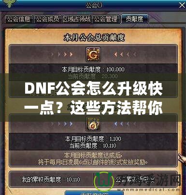 DNF公會怎么升級快一點？這些方法幫你事半功倍！