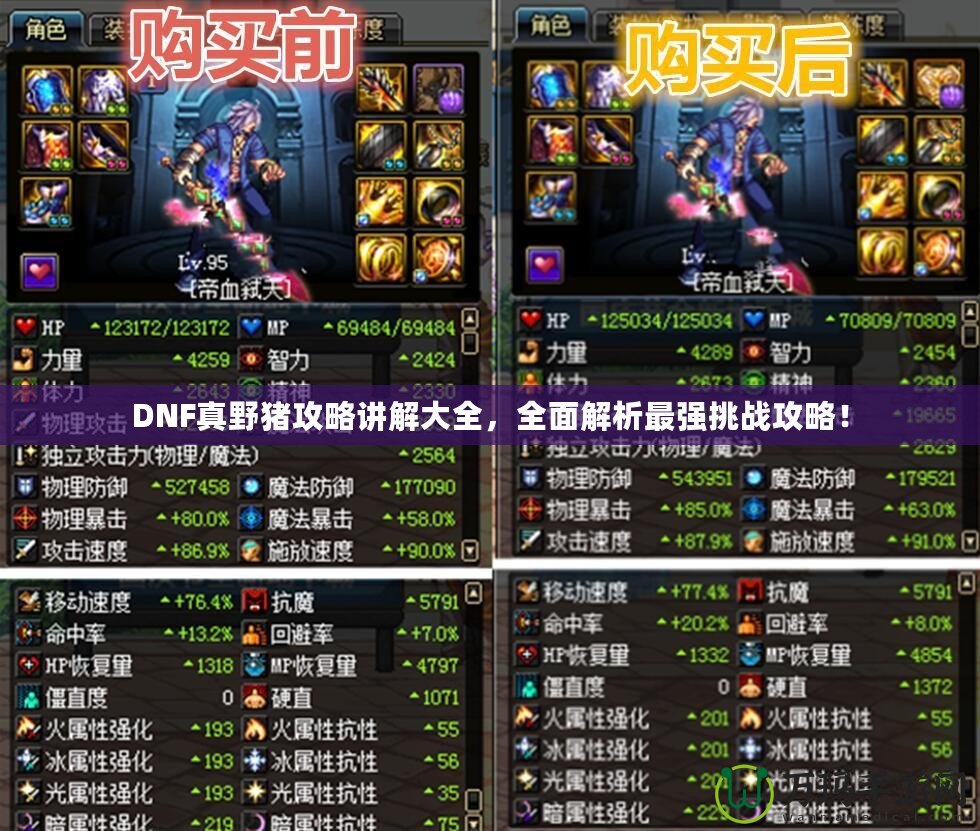 DNF真野豬攻略講解大全，全面解析最強挑戰(zhàn)攻略！