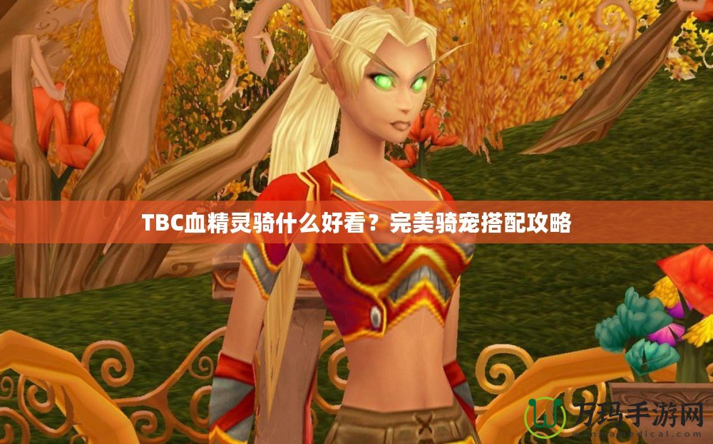 TBC血精靈騎什么好看？完美騎寵搭配攻略