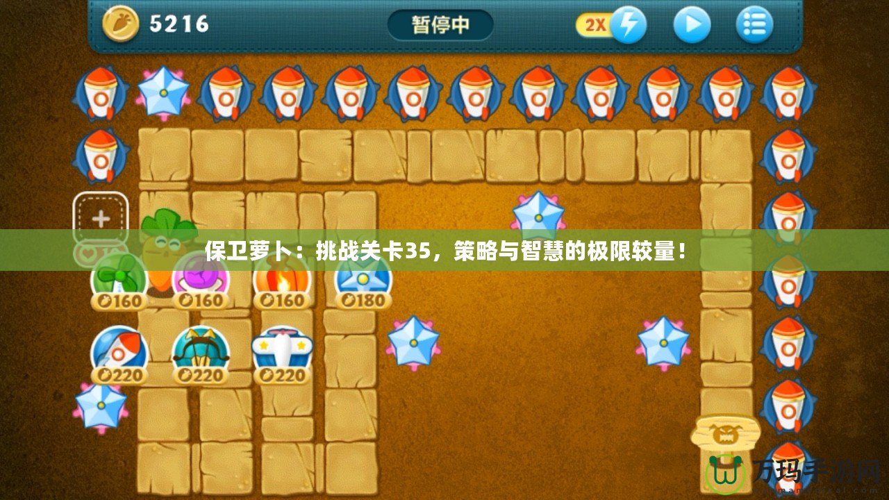 保衛(wèi)蘿卜：挑戰(zhàn)關(guān)卡35，策略與智慧的極限較量！