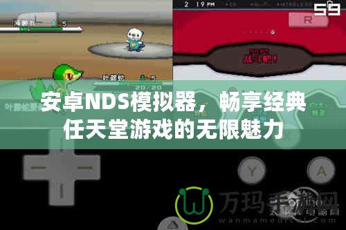 安卓NDS模擬器，暢享經(jīng)典任天堂游戲的無限魅力