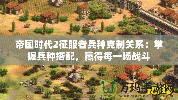 帝國時代2征服者兵種克制關系：掌握兵種搭配，贏得每一場戰(zhàn)斗
