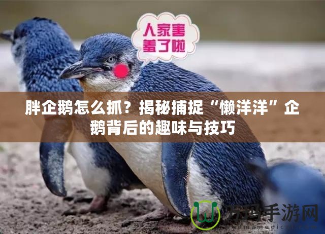 胖企鵝怎么抓？揭秘捕捉“懶洋洋”企鵝背后的趣味與技巧