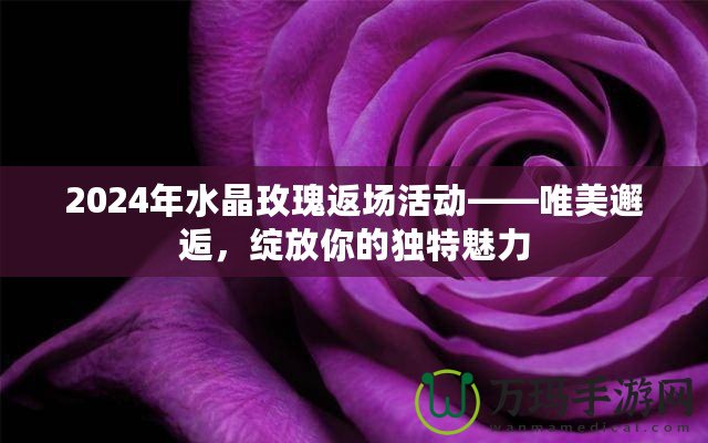 2024年水晶玫瑰返場活動(dòng)——唯美邂逅，綻放你的獨(dú)特魅力